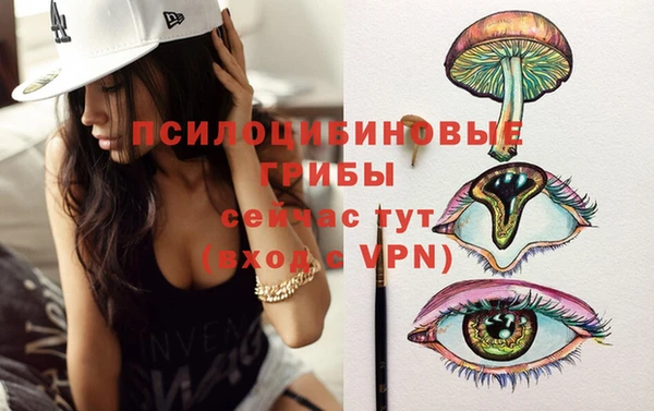 ECSTASY Мегион