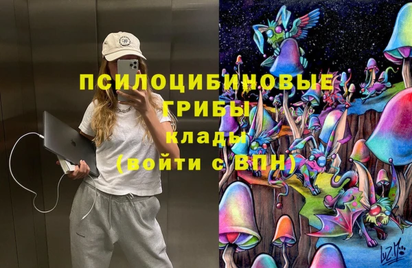 амф Новый Уренгой