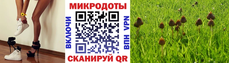 Галлюциногенные грибы мицелий дарнет шоп Чебоксары