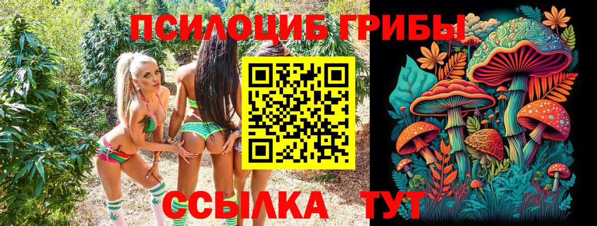 Псилоцибиновые грибы Psilocybe  Чебоксары 